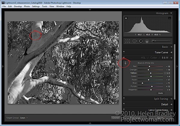 Master Targeted Adjustments in Lightroom: Precise Editing Tools Revealed