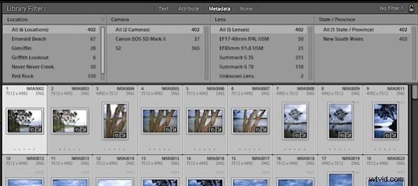Lightroom Mastery: Filters vs. Smart Collections for Effortless Photo Organization