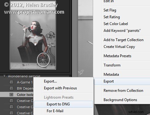 How to Use Lightroom Presets in Adobe Camera Raw: Step-by-Step Guide