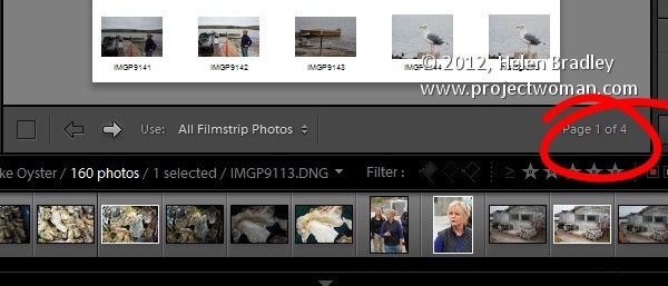 How to Create Professional Contact Sheets in Lightroom: Step-by-Step Guide