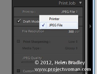 How to Create Professional Contact Sheets in Lightroom: Step-by-Step Guide