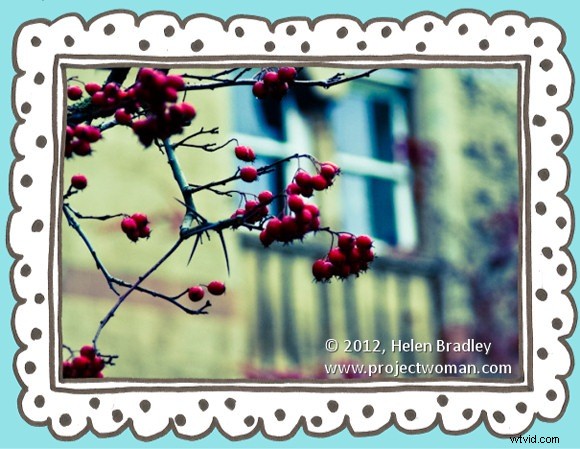 How to Add Professional Photo Borders in Adobe Lightroom: Step-by-Step Guide