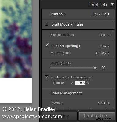How to Add Professional Photo Borders in Adobe Lightroom: Step-by-Step Guide