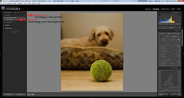 5 Proven Tips to Slash Post-Processing Time in Adobe Lightroom 3