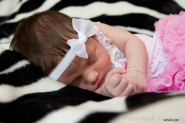 5 Proven Tips to Slash Post-Processing Time in Adobe Lightroom 3