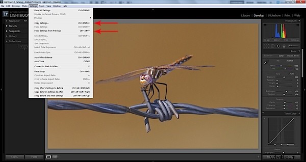 5 Proven Tips to Slash Post-Processing Time in Adobe Lightroom 3