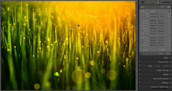 4 Powerful Ways to Use Lightroom s Graduated Filter Tool for Stunning Photos