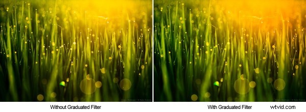 4 Powerful Ways to Use Lightroom s Graduated Filter Tool for Stunning Photos