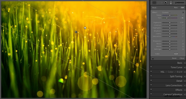 4 Powerful Ways to Use Lightroom s Graduated Filter Tool for Stunning Photos