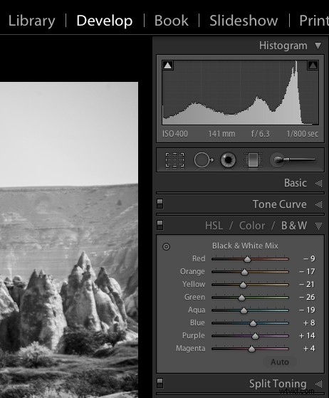 3 Expert Tips for Stunning Black & White Conversions in Lightroom