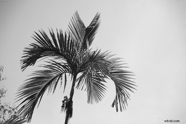 3 Expert Tips for Stunning Black & White Conversions in Lightroom