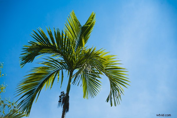 3 Expert Tips for Stunning Black & White Conversions in Lightroom