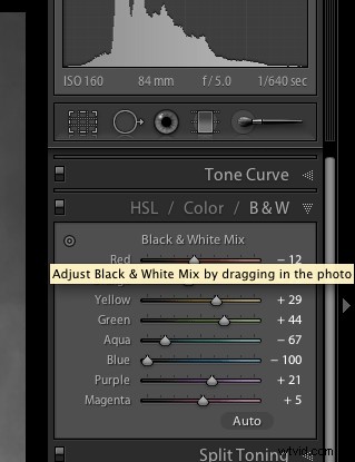 3 Expert Tips for Stunning Black & White Conversions in Lightroom