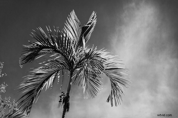 3 Expert Tips for Stunning Black & White Conversions in Lightroom