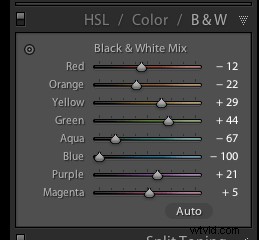 3 Expert Tips for Stunning Black & White Conversions in Lightroom