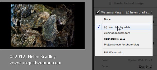 How to Create and Use Image Watermarks in Lightroom: Pro Guide