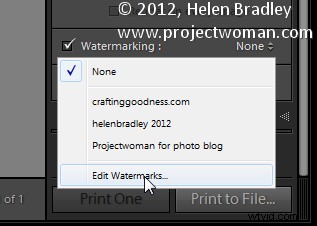 How to Create and Use Image Watermarks in Lightroom: Pro Guide