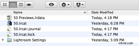 Seamlessly Sync and Backup Your Lightroom Catalog with Dropbox