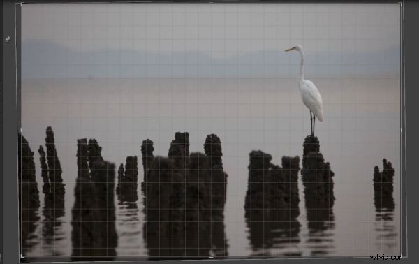 Mastering Lightroom 4 s Crop Tool: Complete Guide to Cropping, Ratios & Straightening