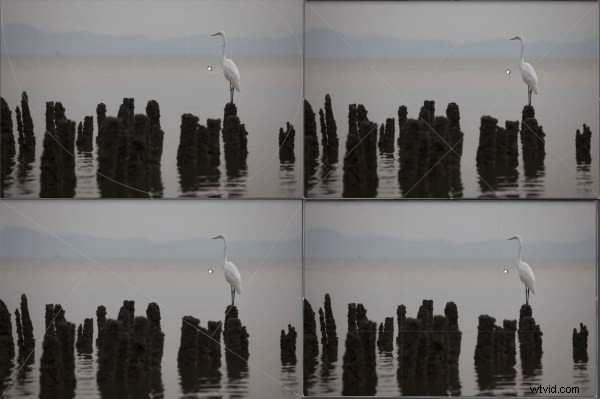 Mastering Lightroom 4 s Crop Tool: Complete Guide to Cropping, Ratios & Straightening