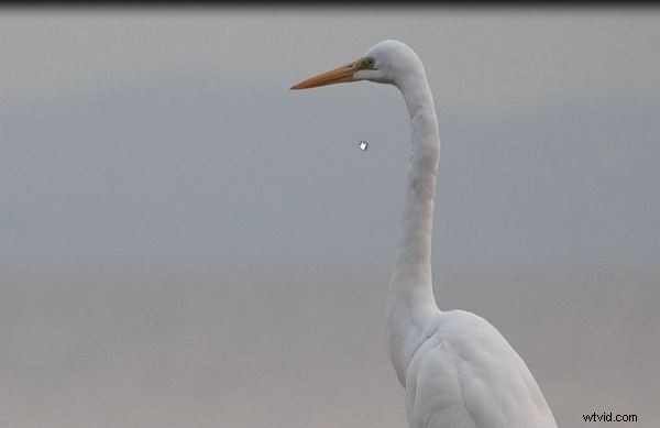 Mastering Lightroom 4 s Crop Tool: Complete Guide to Cropping, Ratios & Straightening