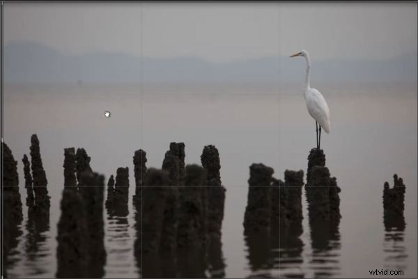 Mastering Lightroom 4 s Crop Tool: Complete Guide to Cropping, Ratios & Straightening