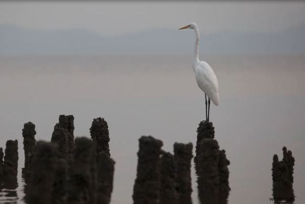 Mastering Lightroom 4 s Crop Tool: Complete Guide to Cropping, Ratios & Straightening