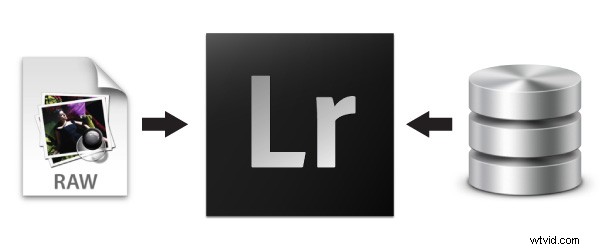 Mastering Lightroom: Essential Guide to Catalogs and File Management