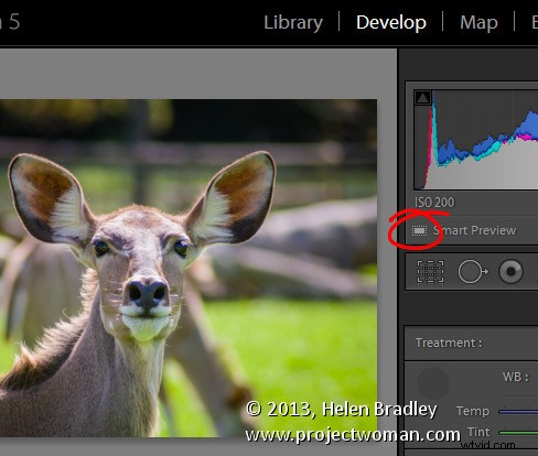 Master Smart Previews in Lightroom 5: Edit Anywhere Without Original Files