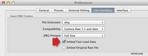Boost Lightroom Speed: Optimize Performance with DNG Files