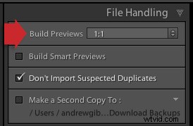 Boost Lightroom Speed: Optimize Performance with DNG Files