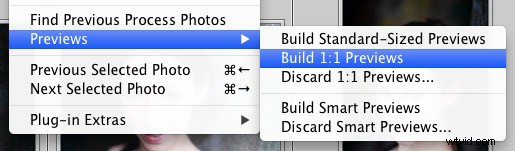 Boost Lightroom Speed: Optimize Performance with DNG Files