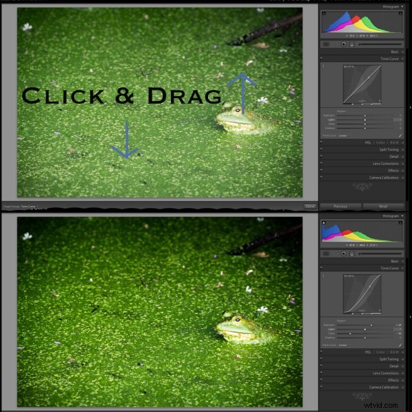 Master Lightroom s Tone Curve: Essential Guide for Pro Photo Editing