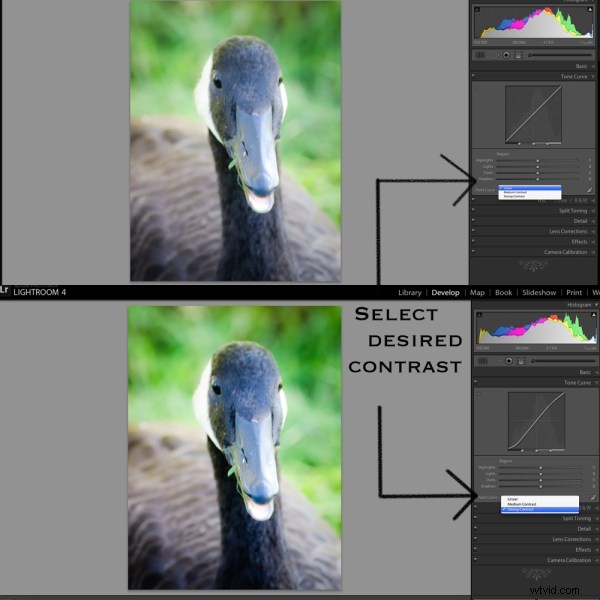 Master Lightroom s Tone Curve: Essential Guide for Pro Photo Editing