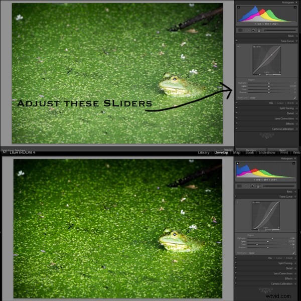 Master Lightroom s Tone Curve: Essential Guide for Pro Photo Editing