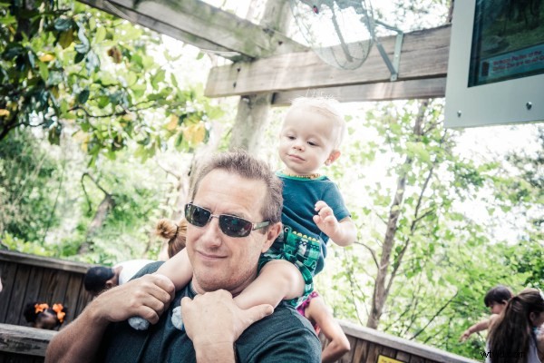 Exclusive Deal: 30% Off James Brandon s Lightroom Presets Bundle + Free Photography Ebook