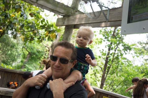 Exclusive Deal: 30% Off James Brandon s Lightroom Presets Bundle + Free Photography Ebook