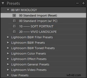 Create Stunning  Soft Portrait  Presets in Lightroom 4: Step-by-Step Guide