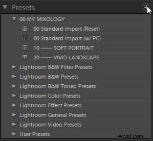 Create Stunning  Soft Portrait  Presets in Lightroom 4: Step-by-Step Guide