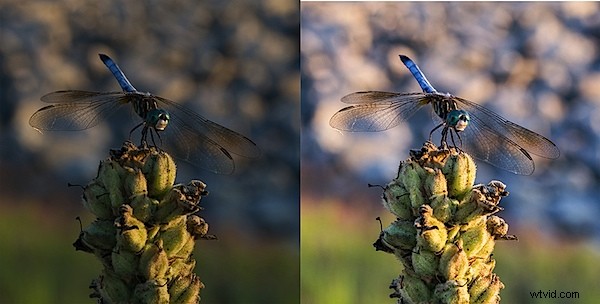 Master 5 Essential Lightroom Sliders to Make Your Photos Pop