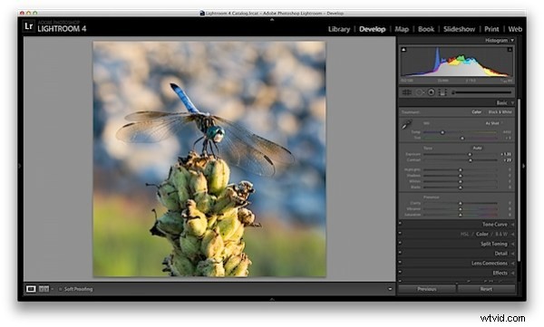 Master 5 Essential Lightroom Sliders to Make Your Photos Pop
