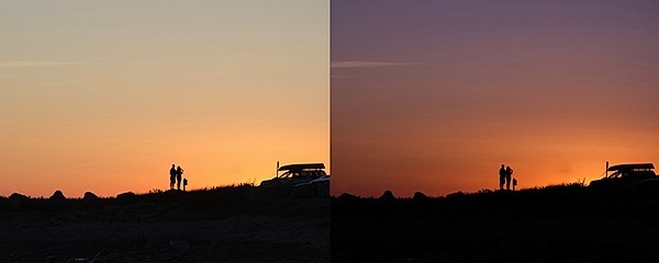 Master 5 Essential Lightroom Sliders to Make Your Photos Pop