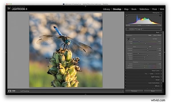 Master 5 Essential Lightroom Sliders to Make Your Photos Pop