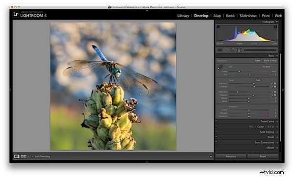 Master 5 Essential Lightroom Sliders to Make Your Photos Pop