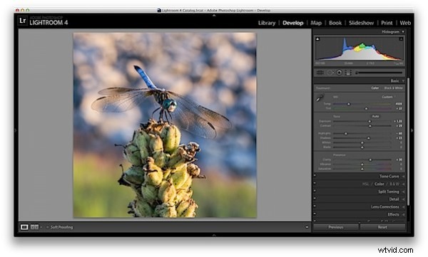Master 5 Essential Lightroom Sliders to Make Your Photos Pop