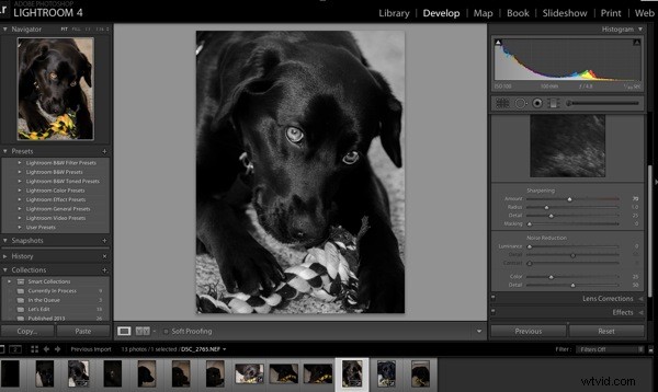 Master Lightroom Sharpening Tools: Expert Step-by-Step Guide