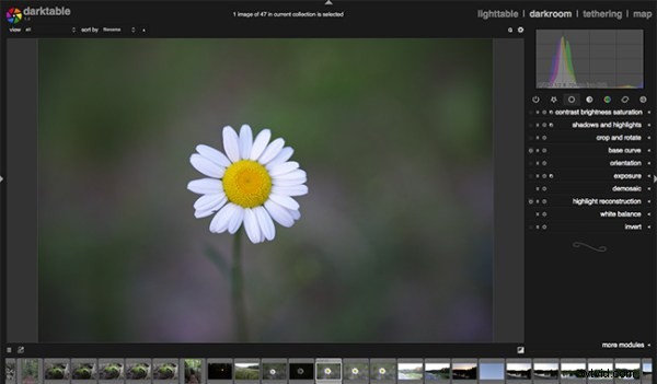 Darktable vs Lightroom: Does the Free Open-Source Editor Measure Up?