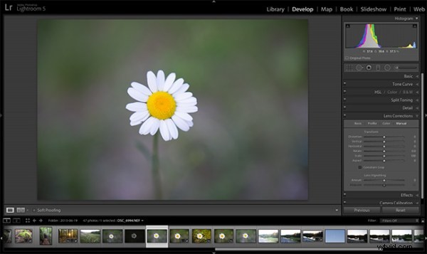 Darktable vs Lightroom: Does the Free Open-Source Editor Measure Up?