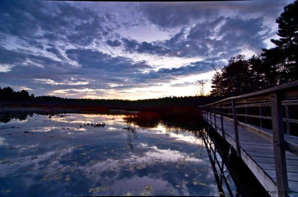 Darktable vs Lightroom: Does the Free Open-Source Editor Measure Up?