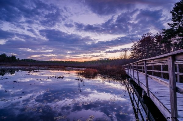 Darktable vs Lightroom: Does the Free Open-Source Editor Measure Up?